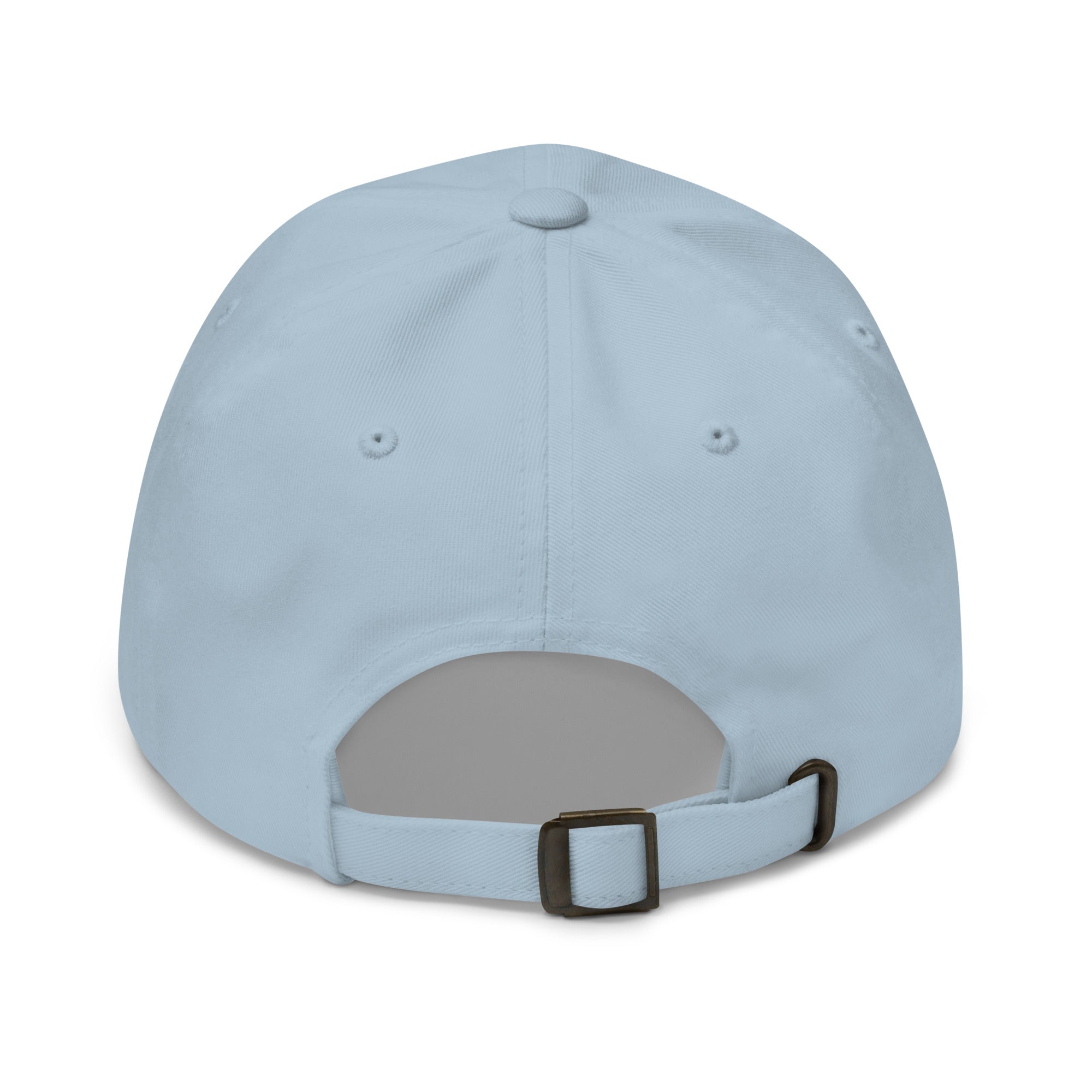 Skirtshunter dad hat by Robin Gnarly — light blue, back