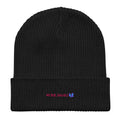 Work Smard beanie by Robin Gnarly — black, front